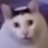 Qwerty2715