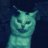 iristcat22
