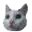 :catwtf: