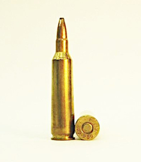 22-250_Remington.JPG