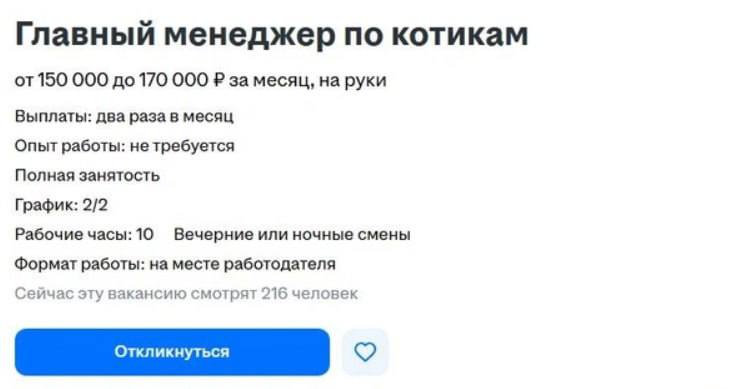 Менеджеру по КОТАМ готовы платить от 150.000 рублей: компания в Екатеринбурге хочет, чтобы кто-то 24/7 гладил трёх офисных котов. Менеджеру по КОТАМ готовы платить от 150.000 рублей: компания в Екатеринбурге хочет, чтобы кто-то 24/7 гладил трёх офисных котов.