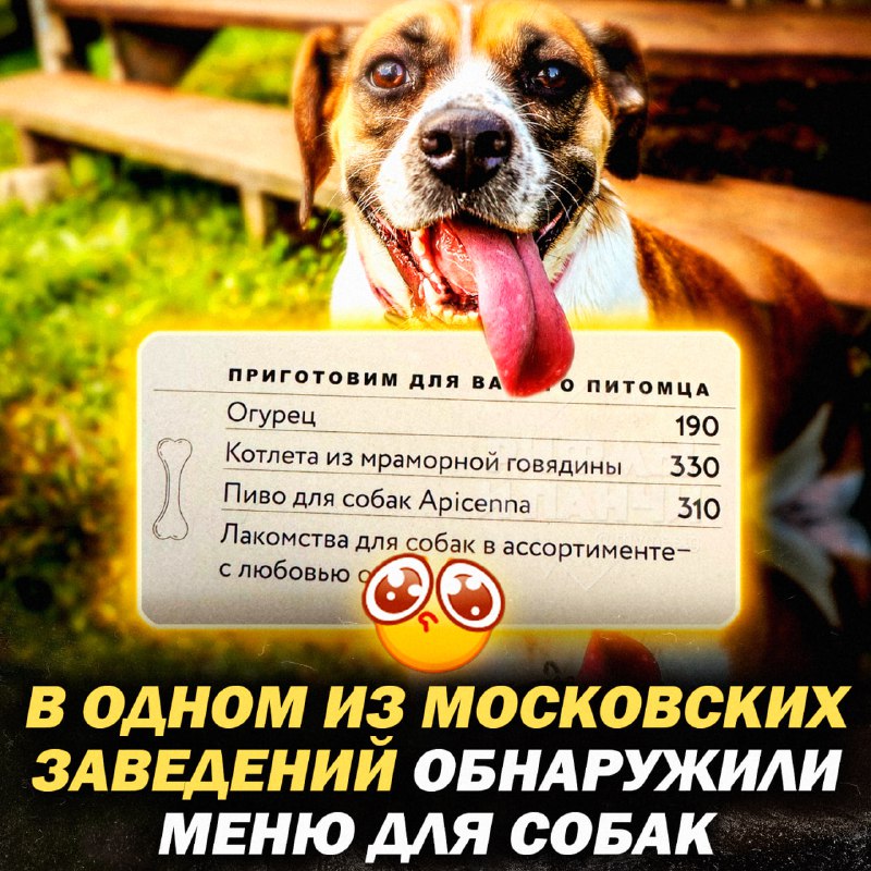 AVo94UJXhx8UNk_tGuC5-pazrCN5vMWXgZSdyR9HHbaeI9hNA7klPAeWBhHeNILDCewFdklMSolx1_qmbJN2nKrZ6Q_5Jj2QQgjNUvmQZXDghQPESfFuRwHihn5Rc32Xncqtaw25sFbmE9DZmcUsgmpH8CRms6fquRH5xKnupRXJtBXRh8CCFFgQqmUA0FI8hRQ4vrzmL-EQkZmjaiDB4z0hUHw3vd0eFjT0ZSymjQqDj6vYLDfGkn69WVlqqW65Zi9GoAuELEwGn220QXNxD_AOc9DVuEalpYJzZHG7D4xATUEUhBP99AreahBGEBXmdV1fVPFK161rUKVpuCZR8g.jpg