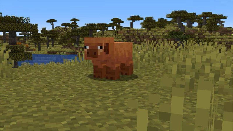 В Minecraft вышла мощная обнова — в игру добавили новых... свиней. В Minecraft вышла мощная обнова — в игру добавили новых... свиней.