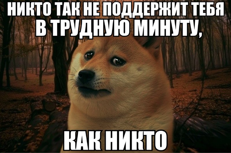 Официально: одиночество УБИВАЕТ. Учёные провели масштабное исследование с 42062 участника и выяснили: Официально: одиночество УБИВАЕТ. Учёные провели масштабное исследование с 42062 участника и выяснили:
