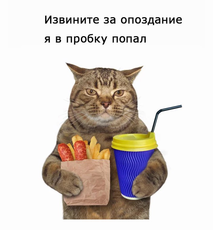 Постоянные опоздания — признак НИЗКОГО ИНТЕЛЛЕКТА. Об этом заявили психологи РАН. Постоянные опоздания — признак НИЗКОГО ИНТЕЛЛЕКТА. Об этом заявили психологи РАН.
