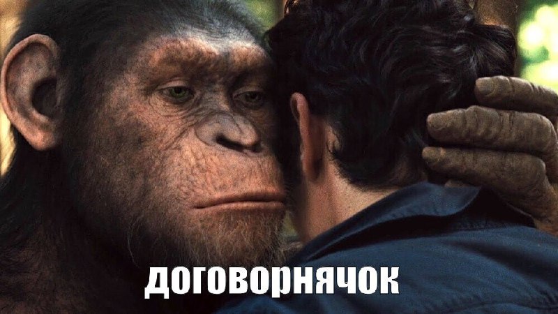 ⚡️ ДОГОВОРНЯЧОК НАЧАЛСЯ — быстрый рекап сюжета на данный момент ⚡️ ДОГОВОРНЯЧОК НАЧАЛСЯ — быстрый рекап сюжета на данный момент
