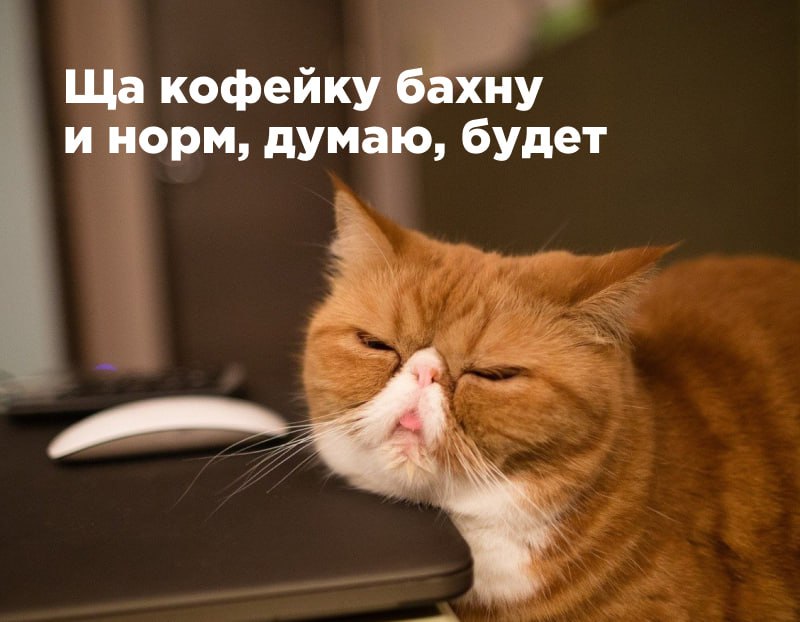 Лол, что: в Китае открыли клинику для людей, которые не любят ходить на работу и считают ее бессмысленной. Лол, что: в Китае открыли клинику для людей, которые не любят ходить на работу и считают ее бессмысленной.