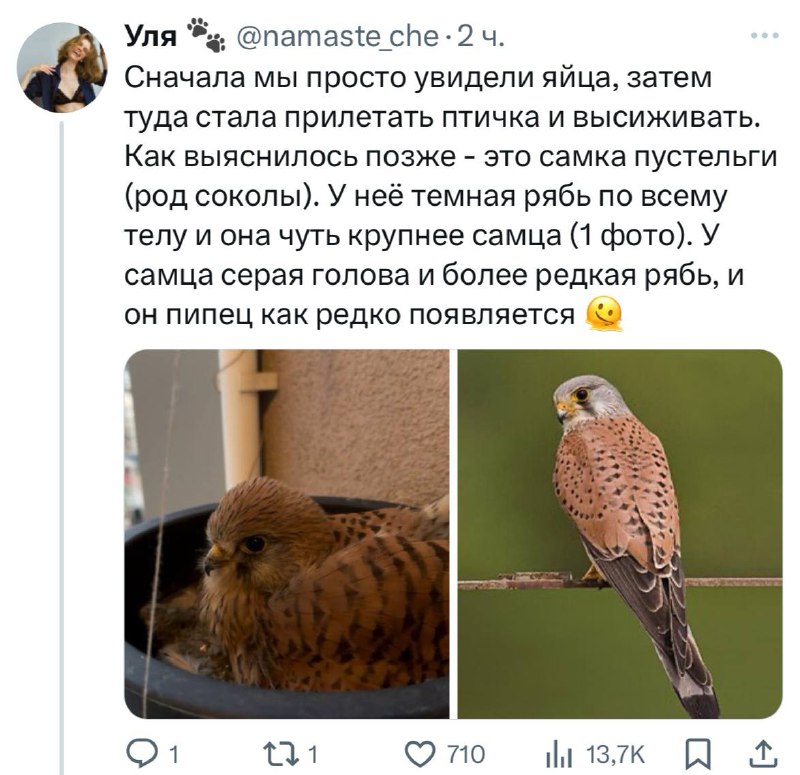 J9Yd9baRj1UAhOdyCDFBmSp6-FQI1YpZjpl_UQAXryyicoSzYLX59-5Blet46e4CTFglF5eI0zir1So-r_kTI2MlSoD6mXUVZh2wn_TThs2HROH2fPqFFwV23mXQaHmnQQZKFE6LvaVagw1KGTzX-UWopC8qKrD-KzPsTYwecIrH_KnogOiskDL4366Hccjphtr0v76m948Dq1IIRCWgRX_XPaalohfigJ9zpyoTkcRN3CNVVdbhlWlzVViQiTOS219qcTRR_LmsjE0Jv2RlqPscNauZPyZSaamQNOXE7gCwOZxgV1sN8R-KR0QIS3ziWN_UlgCgHFFnLX24NzzBMA.jpg