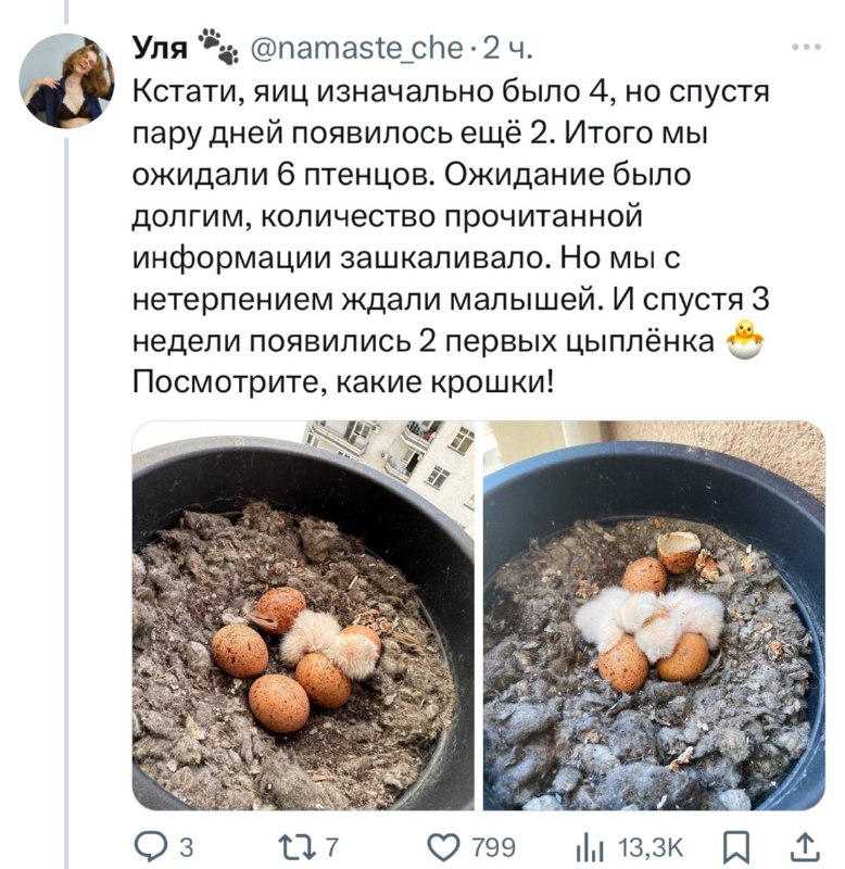 KN7RFiwFAUD_jm5AvXVu4Xnmg6hAXC29FISQXOcR57dqZ7Xck97yoWZEQ7SXyq0kBkVda-pJufJW9KhExLhLUvSjshomjjQKsQxSALWiThGx2NO0Hm3Uz4-5vXDYjzh0ShJZmee3lNRnEyfaWbRq4iYm0KbfpYN4ZR__38KIit684XDAzj-V5oMa8e7nblGXO1hCSbfAdFv28aqroJch6-Swf6JNkk3qzLw7_tFCIkRa5JFk9-mGnCNPeimdCR4EYhmm6927McoRjzhzfB3YZXSREWlKlxV_OVGARZDto9coCl0NadTl1FZTi_Jo406yNCaiifs4FVoMxkJdx4mlsg.jpg