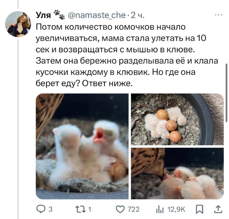 Mcqep5OhfXyHZZR-gbnDkoWKU97y7a_xuLAurCQurSu5HE1imJXZ2Ujjj3ZKwO2u6XO85zpanJI9Z7KX2vO8BHK-VuPMMwG7iY4HXUdst8tCOgqeWsBSIafi64FMqY6tql35EC1GHU9OtzqS29AUhuCVr2yNwdsQ_EGGgQ70s11WpMFan53tTgPNBEGzl_WjHzAPZaGIs2F2hj3jOMVV4saAetwsSnSyla6pFHFzCu45qqC8qUcpBRnS3unZjRE0XcCGw5uNI4eaJKHuSMbnR35225rIGB4Xiyq7F-h297mzJoFj3Gy4pv8M8m9J3fqlC-gUt3X6vKK8e2qQNT-2cg.jpg
