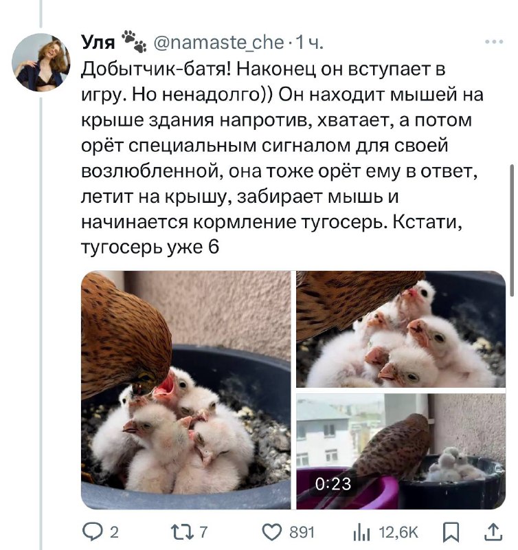 Menbi0SiSQKEDg0hisIegv_M6HgeOnJQ-GXzkac_1kRAb_4_qvvoZlYBbXFforYJOaFl_G1yRbgP8G62LZDWaKO4LfH-l7KDnplAoKuScxohFz3d3eY0ulpOdg1aA2DFu5Tx2BrElxXZhNmc2osNjwBcZlYIwFhpIzNPDA2vugQ4fDqbUety7k3SN9ocpBin8VWkq4eFo35LFx45QK6kaearhTrXBG0wSh3_aNz_QokVGcdsoSulj4aRtiTeZiuK_9eAV9bvJg_wehlc0SdU9dvXU0vCPxXE5JJqLQZhXgdLLGFNFE2ObCLrFsleBqoyEYQtryiufjpAf7xT8w98OQ.jpg