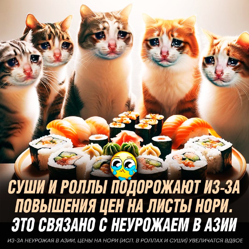 NGmHMtSPYdVwAT7OpY8vDcWjdPo5ms9tfoBSIh0H24iwLTm5RpcDqp_YhPFj1z6-S_Q5dlS6uCVQCh21_g5voDYCNNkJgSqJKHpP_OBwr5jMACy-CPmQW4C5hPNyNxYjPQ5ZM9NPTpRDJMdoFS9AzqBNvkU5zhA5Ld5tscJQsJQZKctT2Of72AKNiuwHVk5Vl8M7tNEA8SUJiG_T4Ahf5oUK0WGfl8fqGnFDeNmOib0EO8uWgKS-s-3sU9KqSTIeJ9Jjew9ra6v1wM7I1XxWw733PjD3XeNMBM0-guTizCpnevM3H1Ll-f6wdTJNYV1eF5d2ceC_zo0xj4KF9SK02w.jpg