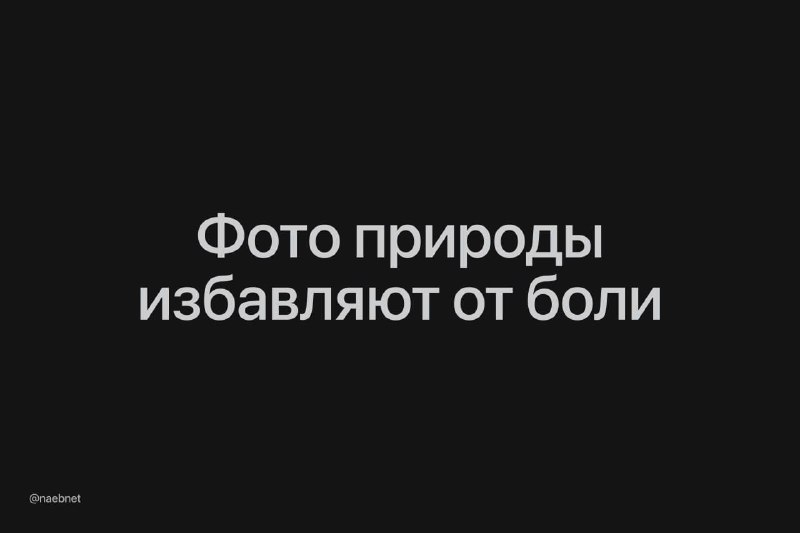 Фотографии природы облегчают боль — и это не эффект плацебо. Пейзажи буквально снижают активность в части мозга, связанной с восприятием боли. Фотографии природы облегчают боль — и это не эффект плацебо. Пейзажи буквально снижают активность в части мозга, связанной с восприятием боли.