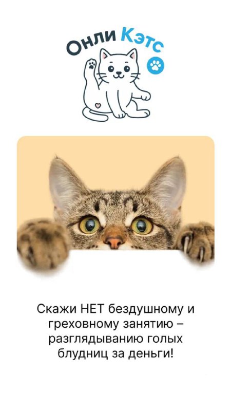 Онлифанс для КОШЕК нашли в сети — вместо моделей тут пушистики. Онлифанс для КОШЕК нашли в сети — вместо моделей тут пушистики.