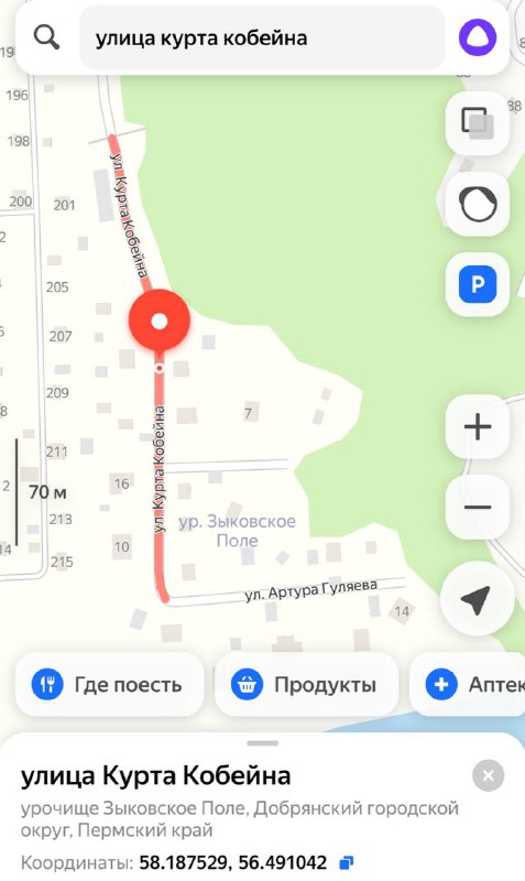 В картах нашли улицу Курта Кобейна — она находится в Пермском крае, недалеко от местной деревни. В картах нашли улицу Курта Кобейна — она находится в Пермском крае, недалеко от местной деревни.