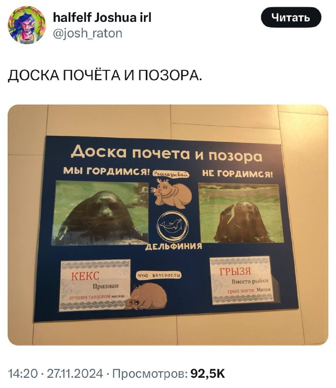 В новосибирском дельфинариуме обнаружили доску... В новосибирском дельфинариуме обнаружили доску...