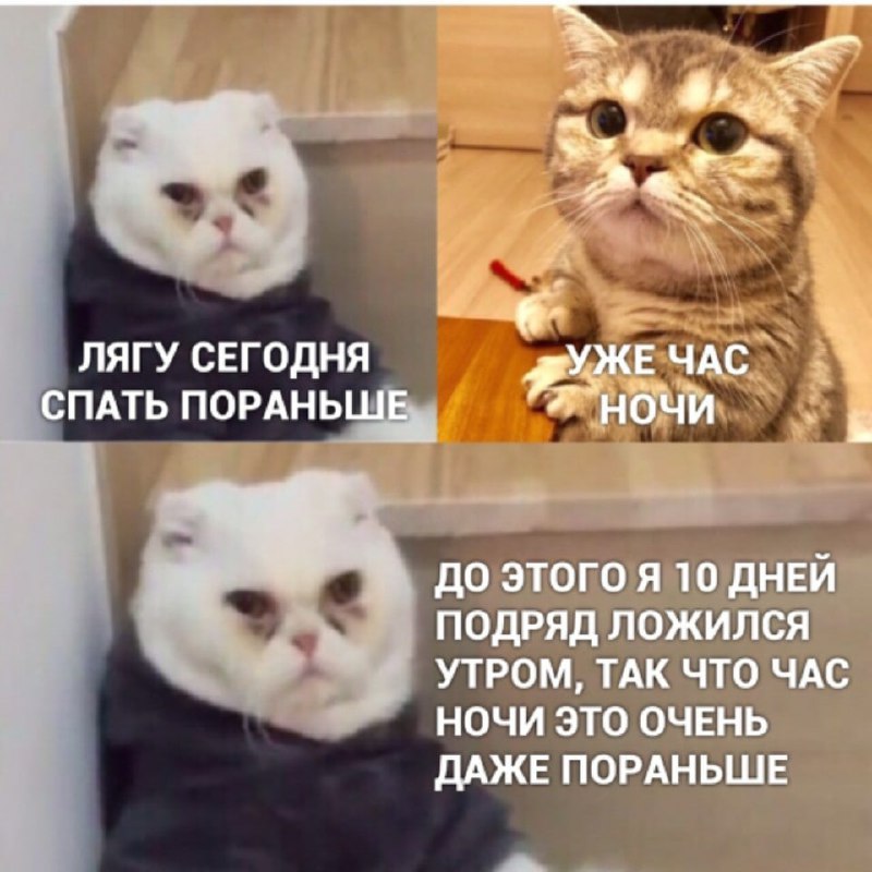 Регулярный режим сна снижает риск сердечных болезней... Регулярный режим сна снижает риск сердечных болезней...