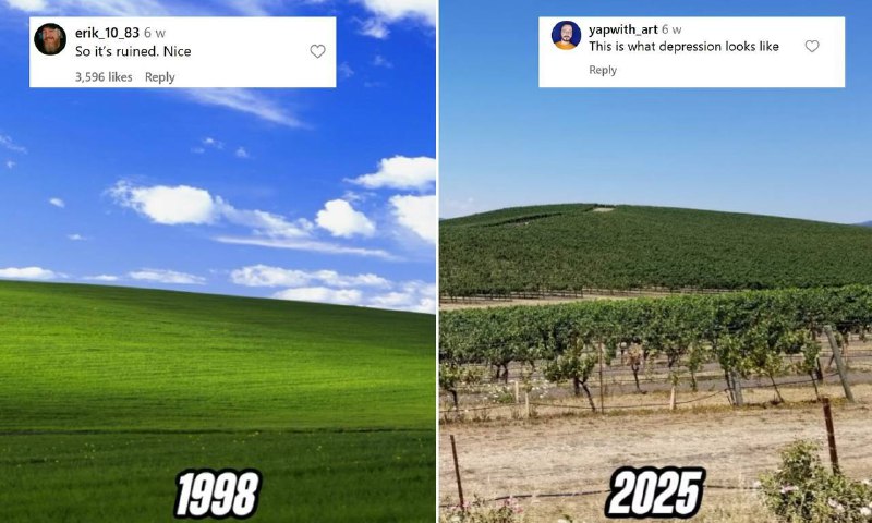 Зелёный холм из обоев Windows XP окончательно умер — самое узнаваемое фото в истории, «Безмятежность», превратилось в скучный виноградник. Зелёный холм из обоев Windows XP окончательно умер — самое узнаваемое фото в истории, «Безмятежность», превратилось в скучный виноградник.