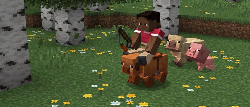 В Minecraft вышла мощная обнова — в игру добавили новых... свиней. В Minecraft вышла мощная обнова — в игру добавили новых... свиней.