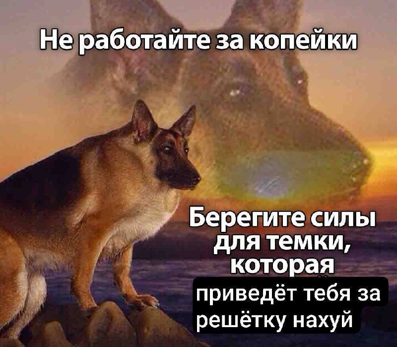 Жителя Гродно приговорили к 13 годам за разбой и попытку вымогательства криптовалюты — в 2024 году он с сообщником, выдавая себя за электрика, проник в квартиру минчанина, пытал его электрошокером и требовал перевести 5750 BTC. Жителя Гродно приговорили к 13 годам за разбой и попытку вымогательства криптовалюты — в 2024 году он с сообщником, выдавая себя за электрика, проник в квартиру минчанина, пытал его электрошокером и требовал перевести 5750 BTC.