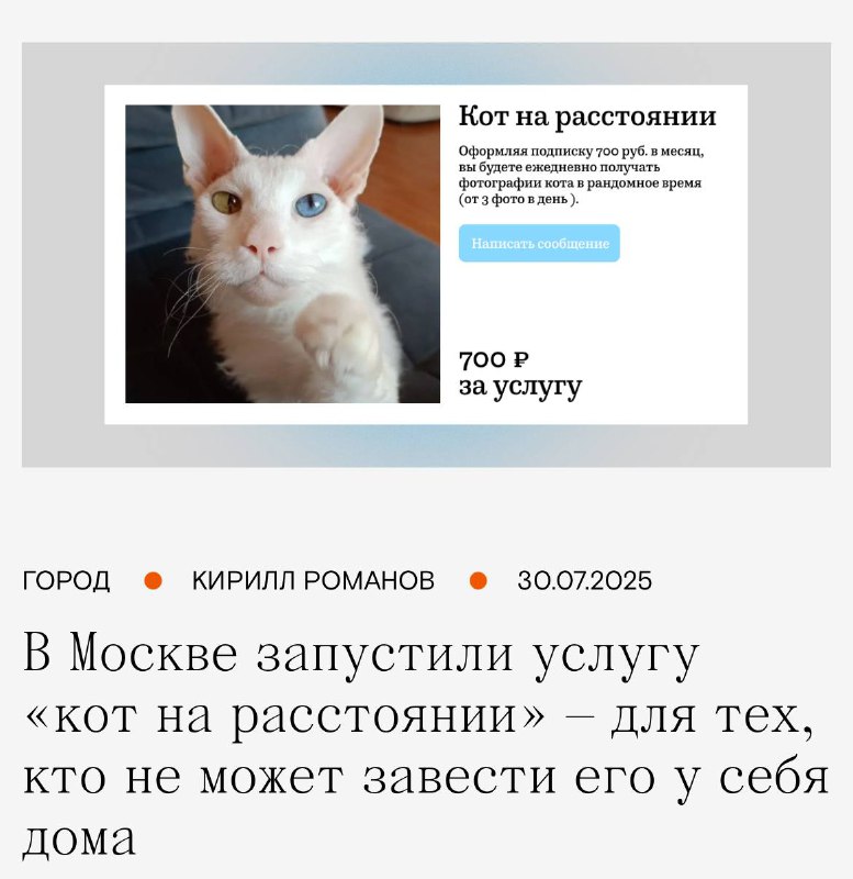 В Москве появилась услуга «Кот на расстоянии» — для аллергиков и тех, кто не может завести питомца дома. В Москве появилась услуга «Кот на расстоянии» — для аллергиков и тех, кто не может завести питомца дома.