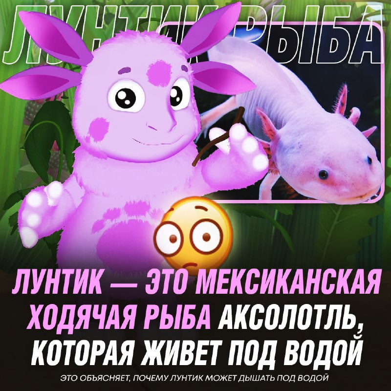 V3fh6rIuhXnsw_-gU-Prcc5UyWonEeBJziY1au12dPLjNi9ipn54msWCEHPBNqoqZs-lrR1fmO46s5YTIF6d7sGCptwckNk-IYF2JI3eFcLGhDLT0j3qW00Z93ucz-0qAWKcg6WDsJ7SsYg-YTegFmyWLg5eAUk3jVL-veyXmHg74zwdq_Y-BKBlyxxzSVsUZsaWkOd8SqI0c-1t2kS7iBwydMUoE15guHPlTAI_hnFdIBryQv8khgf1TniU0rOAovoKIlposGcPsqIMXV-aQHNt7m9runXlFdE7PVd1qiOIZAkLVpz6UT91oY6Q2MLWlgjdKBAmGAhPstTHz_tbqw.jpg