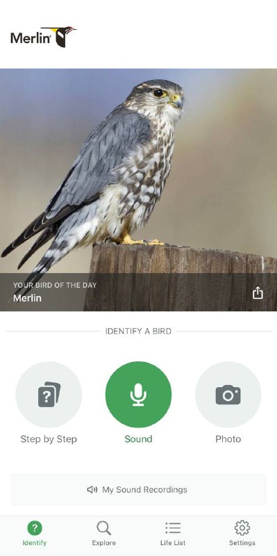 Появился Shazam для птиц: приложение Merlin Bird ID определяет птиц по пению или фото. Появился Shazam для птиц: приложение Merlin Bird ID определяет птиц по пению или фото.