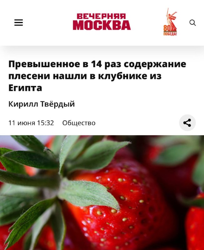 Клубника из Египта ОПАСНА для здоровья — в ней нашли плесени в 14 (!) раз больше нормы. Клубника из Египта ОПАСНА для здоровья — в ней нашли плесени в 14 (!) раз больше нормы.