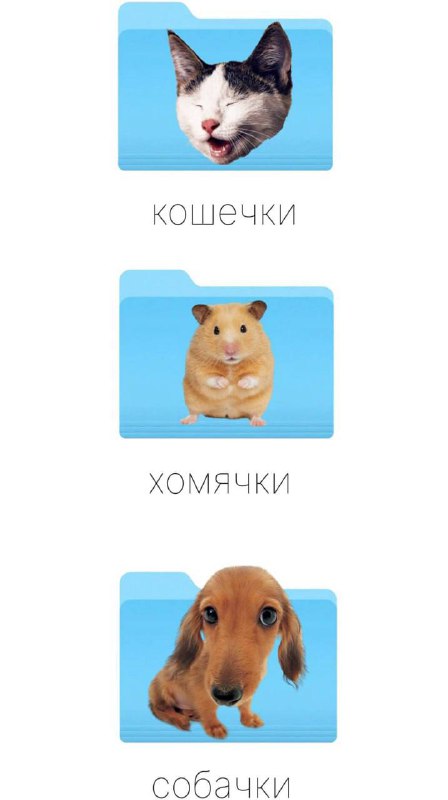 Онлифанс для КОШЕК нашли в сети — вместо моделей тут пушистики. Онлифанс для КОШЕК нашли в сети — вместо моделей тут пушистики.