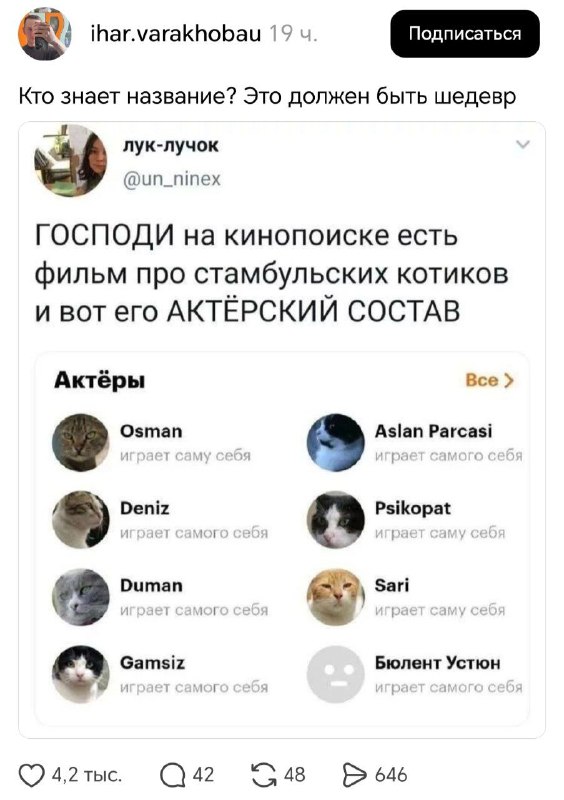 Фильм с ИДЕАЛЬНЫМ кастом найден — всех героев играют... котики! Фильм с ИДЕАЛЬНЫМ кастом найден — всех героев играют... котики!