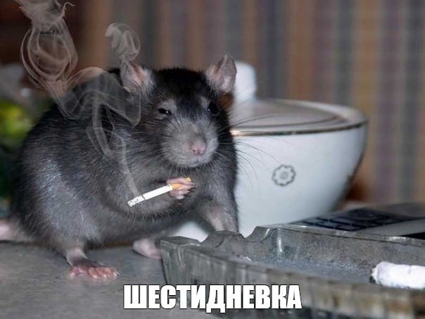 aWbtwh-2sBCeL4-bT4ZRTsftwBJjfyb4y1MmBmiuj6EAXdCvlKe8O08m9Bl11xF5o6TIEd-ejY_00bKvH2Wxp1n2a65ylYcbgvhGSZwNUTVSYcUEw6hJMl3dZ7zw8178-zpNb2jLsRqfjO6pitAdV6FkUIB3-uctqNrkEExnUHAB5nfxZ1nEtV3hYuusYJPEPPdC-2pnksiuBKd1SY9wP8_07ZgyHh1ehHyGrh1YgE9tSZJTTOgpY242AS3BnYh7VUerePy9KfMZ_h6HnAo_3TWyaJM7hLWloAzZO8PUdPgU2009KmdJCaZ-2Ue-HgbtHfSTQmlKuUsLi77k7X3W-A.jpg