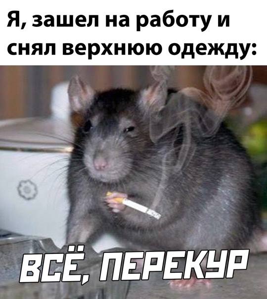 443 млрд рублей теряют российские компании из-за... ПЕРЕКУРОВ работяг. 443 млрд рублей теряют российские компании из-за... ПЕРЕКУРОВ работяг.