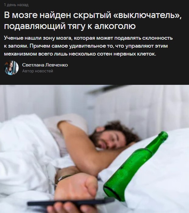 Учёные нашли способ ОТКЛЮЧАТЬ желание выпивать — всего 300 нейронов гасят тягу к алкоголю. Учёные нашли способ ОТКЛЮЧАТЬ желание выпивать — всего 300 нейронов гасят тягу к алкоголю.