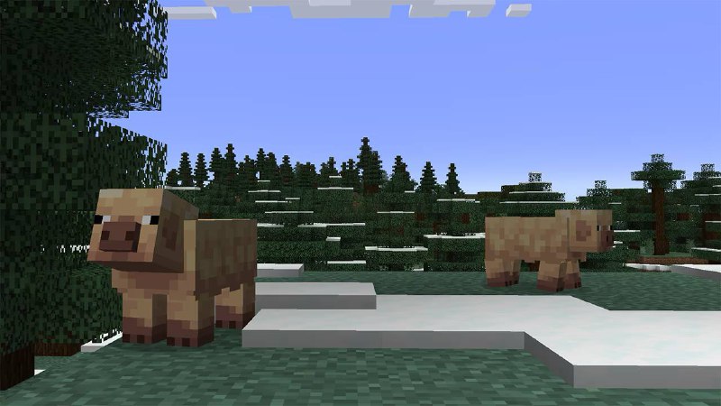 В Minecraft вышла мощная обнова — в игру добавили новых... свиней. В Minecraft вышла мощная обнова — в игру добавили новых... свиней.