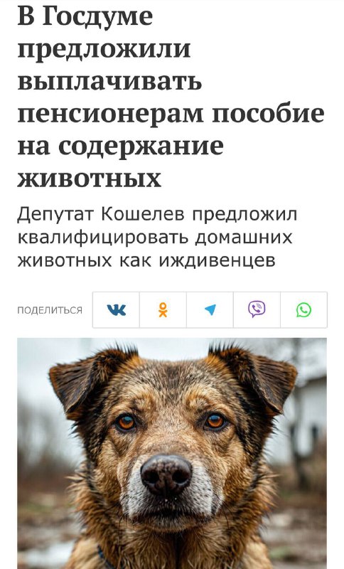 В России хотят платить пенсионерам пособие на уход за питомцами — от 10 до 20 тысяч рублей, что соответствует минимальной пенсии. В России хотят платить пенсионерам пособие на уход за питомцами — от 10 до 20 тысяч рублей, что соответствует минимальной пенсии.