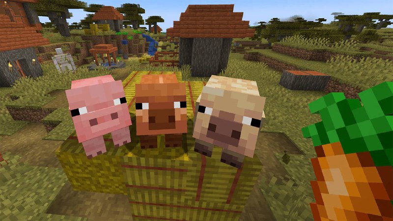 В Minecraft вышла мощная обнова — в игру добавили новых... свиней. В Minecraft вышла мощная обнова — в игру добавили новых... свиней.