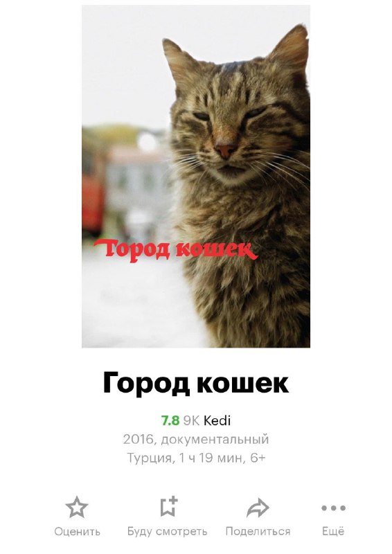 Фильм с ИДЕАЛЬНЫМ кастом найден — всех героев играют... котики! Фильм с ИДЕАЛЬНЫМ кастом найден — всех героев играют... котики!