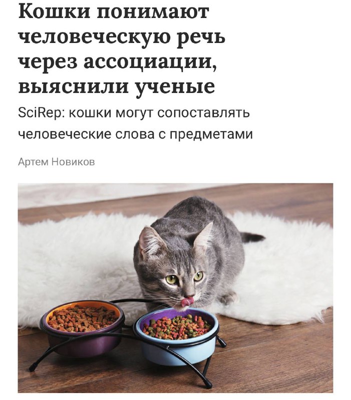 pdUozbYglp0kYdBWJ-WK9_ZQ-c5tReQLevoDviAmsj_MmiJaRHwD3s6OVrlY26mMoOGD3hukgXbpkHghIHBMFjw-E44kYOZ7j3UXzd39E2Hw3GC_1PJguJn3IfguAztSPl5v01cgO0f0SOmL75GWzl-DS4MNFwF6OynFWSDS6QXukb8T7IxKI41q_I4_77xzpigQ8xtNUPD4IbG30Xv_xGcY51tSpwIjYwqOy8dHcso5LkFUZytTdSdco2G-wsVbaIHDXWYMTTpliWpF1uR9ZrBtOqGwiDro9_vCfWtXkchTaYd2wf-RroeLUMiTMDdidkOvXMpYSOrr3j3DC5Ej1Q.jpg