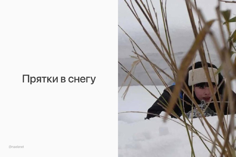 В Японии пройдут масштабные прятки в снежном лесу. Сейчас набирают участников, всего возьмут 100 человек. В Японии пройдут масштабные прятки в снежном лесу. Сейчас набирают участников, всего возьмут 100 человек.