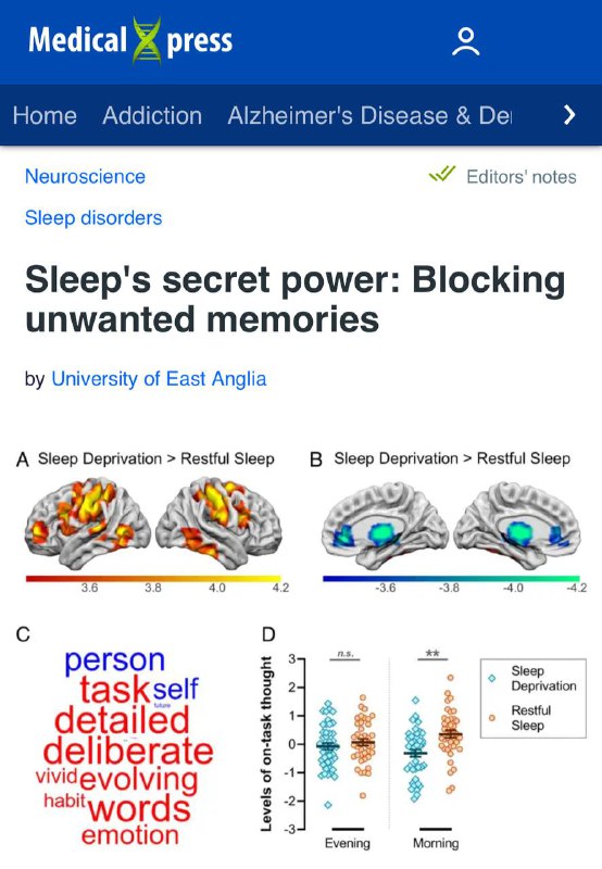 Недосып УБИВАЕТ возможность контролировать память и негативные мысли. Недосып УБИВАЕТ возможность контролировать память и негативные мысли.