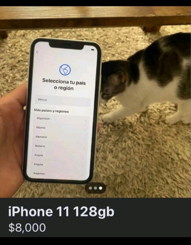 NNFjPeMxUTVkJyAmfZTb5MaKVNht7PdIKoMgHTMjUrSpO8k1pjOi8NcafYTBJ0IqfM47xXxFEzZp4PhyhzohDCgZpCC2B2G-NW5LMM_2T4m7Y4Qb5WFG-RjKwJpDS7p5et1826b2RmQAvypUOErKjzN_5NtiFMA7hM2wZq3fy0nOv8b1aLsAWTAYOR-mMSC0yKV0AB_s_6qGAuVRcFqAsPx7F5oopkKOtR7ul5GlQEPjGdzQHzUyo5mi7Ogtv0fAPCVb6nt6SF5RCxBeq_aRAZPcomebetq83QLHk4HoI1UP5jEe-5OTk_UG7ljX6zB4pVhbHK7u_axLu3ZRApDQGw.jpg