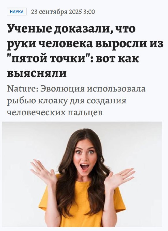 Переходим к важным новостям. Мы рукожопы. Переходим к важным новостям. Мы рукожопы.