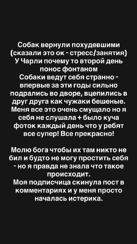 Жестокое обращение с животными, содержание собак в ужасных условиях — передержка питомцев, итоги. Жестокое обращение с животными, содержание собак в ужасных условиях — передержка питомцев, итоги.