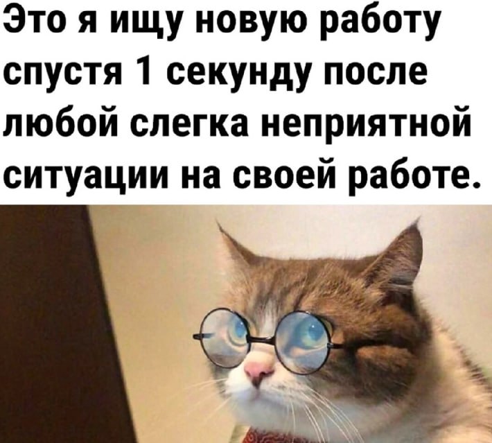⚡️ Имба для поиска РАБОТЫ МЕЧТЫ — опытный промптер подобрал 6️⃣ рабочих запросов в ChatGPT, которые перехитрят любых HR. ⚡️ Имба для поиска РАБОТЫ МЕЧТЫ — опытный промптер подобрал 6️⃣ рабочих запросов в ChatGPT, которые перехитрят любых HR.