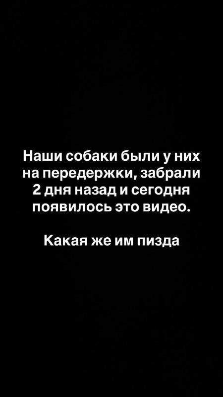 Жестокое обращение с животными, содержание собак в ужасных условиях — передержка питомцев, итоги. Жестокое обращение с животными, содержание собак в ужасных условиях — передержка питомцев, итоги.